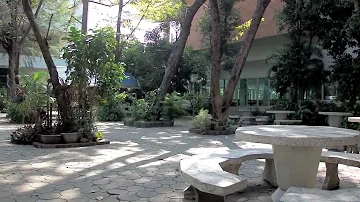 คณะวิทยาศาสตร์ ศิลปากร